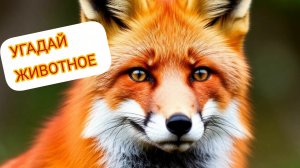 Угадай животное! Развивающая игра