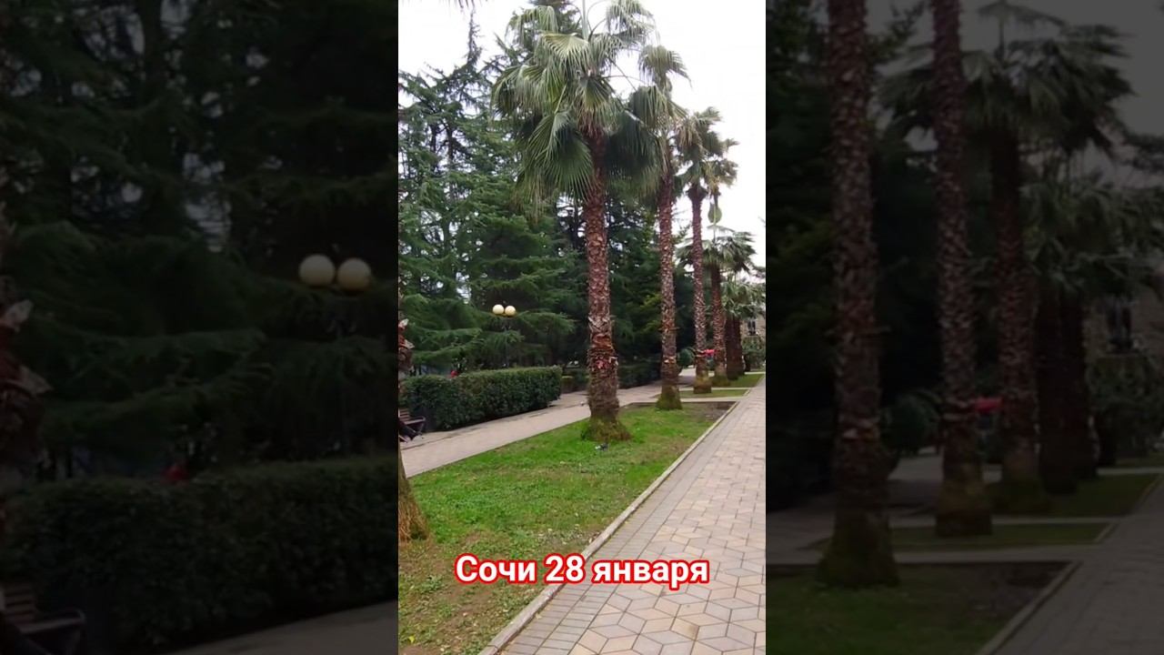 Сочи, 28 января! смотреть онлайн