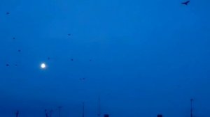 Вся истина в тебе брат, сестра﹤﹥8﹤﹥∆√α&₽%