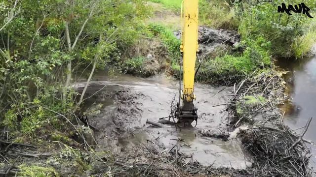 Демонтаж бобровой плотины смотреть онлайн