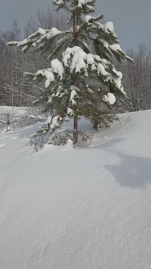 По пушистому снегу.