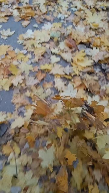 Из осенних зарисовок...