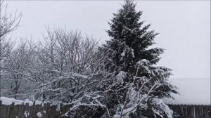 Последний день января