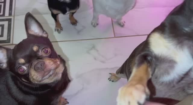 Вкусненько и полезненько, все полакомились. смотреть онлайн