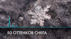 50 оттенков снега. Виды, формы и звуки зимы