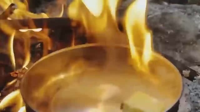 Строительство убежище для выживания в диком лесу и готовьте еду -01 смотреть онлайн