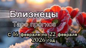 БЛИЗНЕЦЫ 💖таро прогноз ‼️16.02-22.02(2026) #прогноз #таро #близнецы