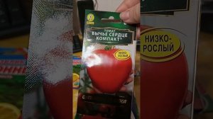 Обзор семян на 2026 год