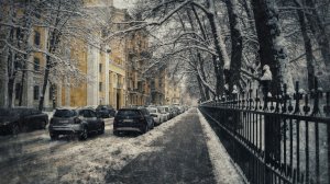 Зима в Таврическом (Январь 2025)