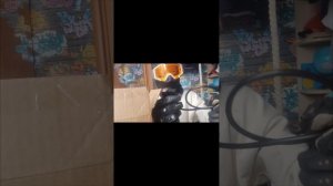 обзор деталей для тюнинга