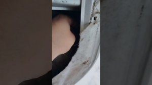 Сюрприз при регулировке дверей УАЗ Патриот