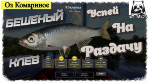 Играем в Russian Fishing 4 ловим уклейку и другую рыбку на оз.Комариное. (Жёсткая раздача!!!)