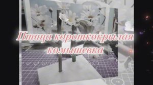 Птичка короткокрылая камышевка из бумаги своими руками