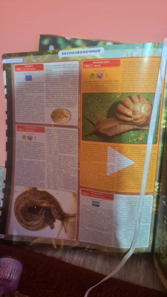 Читаю книжку про насекомых часть 1 смотреть онлайн