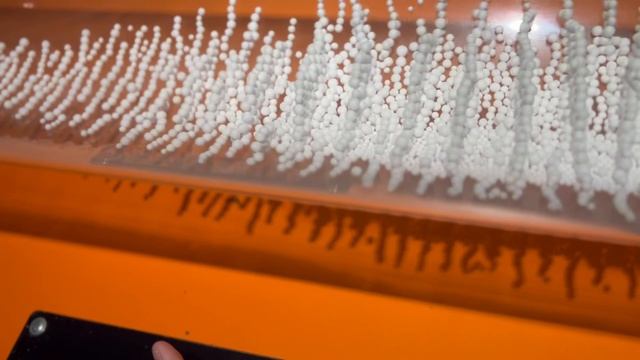 Экспериментаниум, Москва, 02.2025 смотреть онлайн