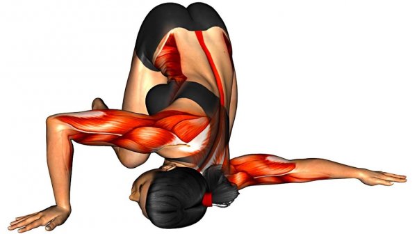 Выполняйте Эти Упражнения УТРОМ после Пробуждения