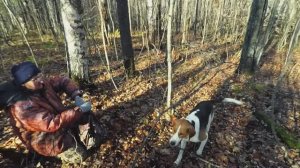 Охота с Русским пегим. 27.10.2018 год.