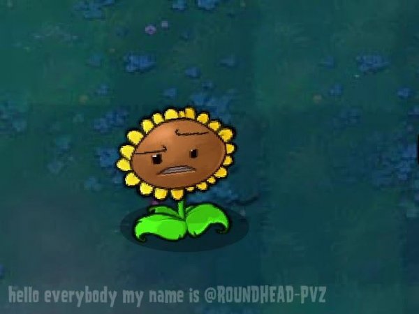 The first night usually shouldn't be a bad one