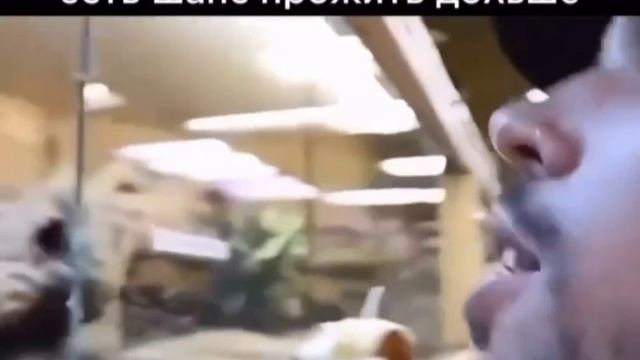 Do You Speak English