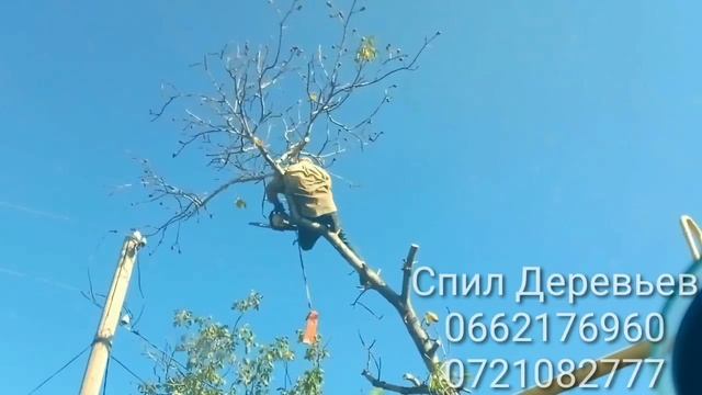 36 смотреть онлайн