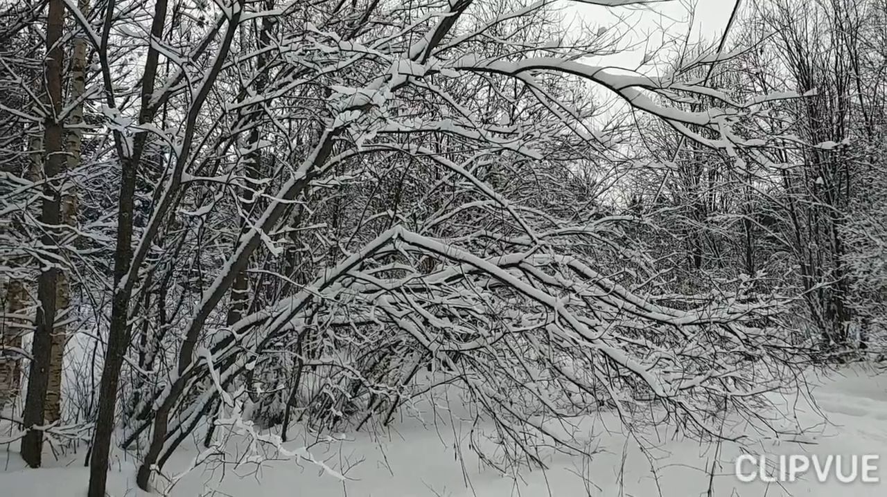 ПРИБЛИЖАЕТСЯ ФЕВРАЛЬ