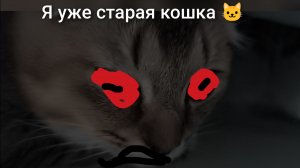 Изменение моей кошки Моньки.