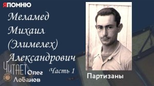 Меламед Михаил Элимелех Александрович  Часть 1. Проект "Я помню" Артема Драбкина. Партизаны.