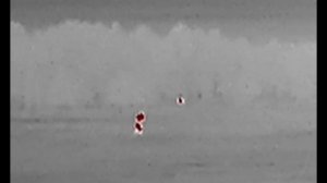 Видео от подписчика,-охотника. Дениса с полем