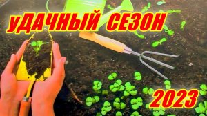 С чего начинается дачный сезон? Дачный шопинг!