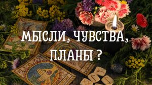Масли, чувства, планы ?
