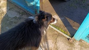 Кто куда а мы по делам