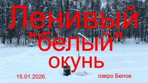 Ленивый белый окунь. 15.01.2026. Озеро Белое. г. Белоозерский. Рыбалка в Подмосковье.