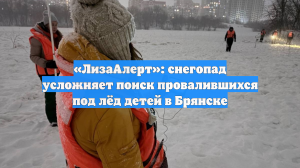 «ЛизаАлерт»: снегопад усложняет поиск провалившихся под лёд детей в Брянске