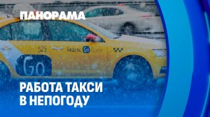 Долгое ожидание и высокий тариф: отчего в морозы взлетают ценники на такси? Панорама