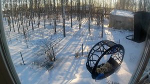 Ржавый Билл вышел на тропу