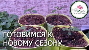 ГОТОВИМСЯ К НОВОМУ СЕЗОНУ. СЕМЕНА, ГОРШКИ  И СПОСОБЫ ВЫРАЩИВАНИЯ РАССАДЫ