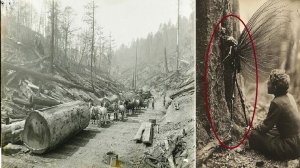 Существа  из другого мира  жили у лесника в тайге