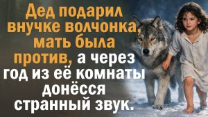 "Внучка лесного вожака". История, которая пробирает до сердца: как волк вернул ребёнку надежду.