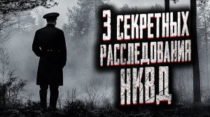 3 секретных расследования НКВД. Страшные истории на ночь. Мистика. Страшилки на ночь.