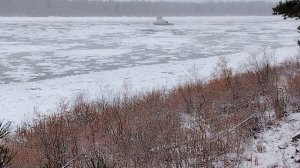 Дневник охотника.Бабочки в октябре.День 17-ый.