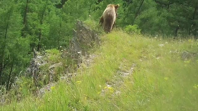 СИБИРЬ: четыре сезона.