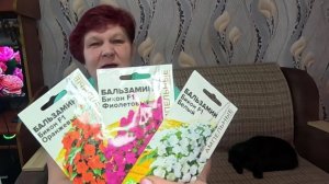 Успейте посеять Редкой Красоты ЦВЕТЫ ДЛЯ ТЕНИСТЫХ УЧАСТКОВ!!