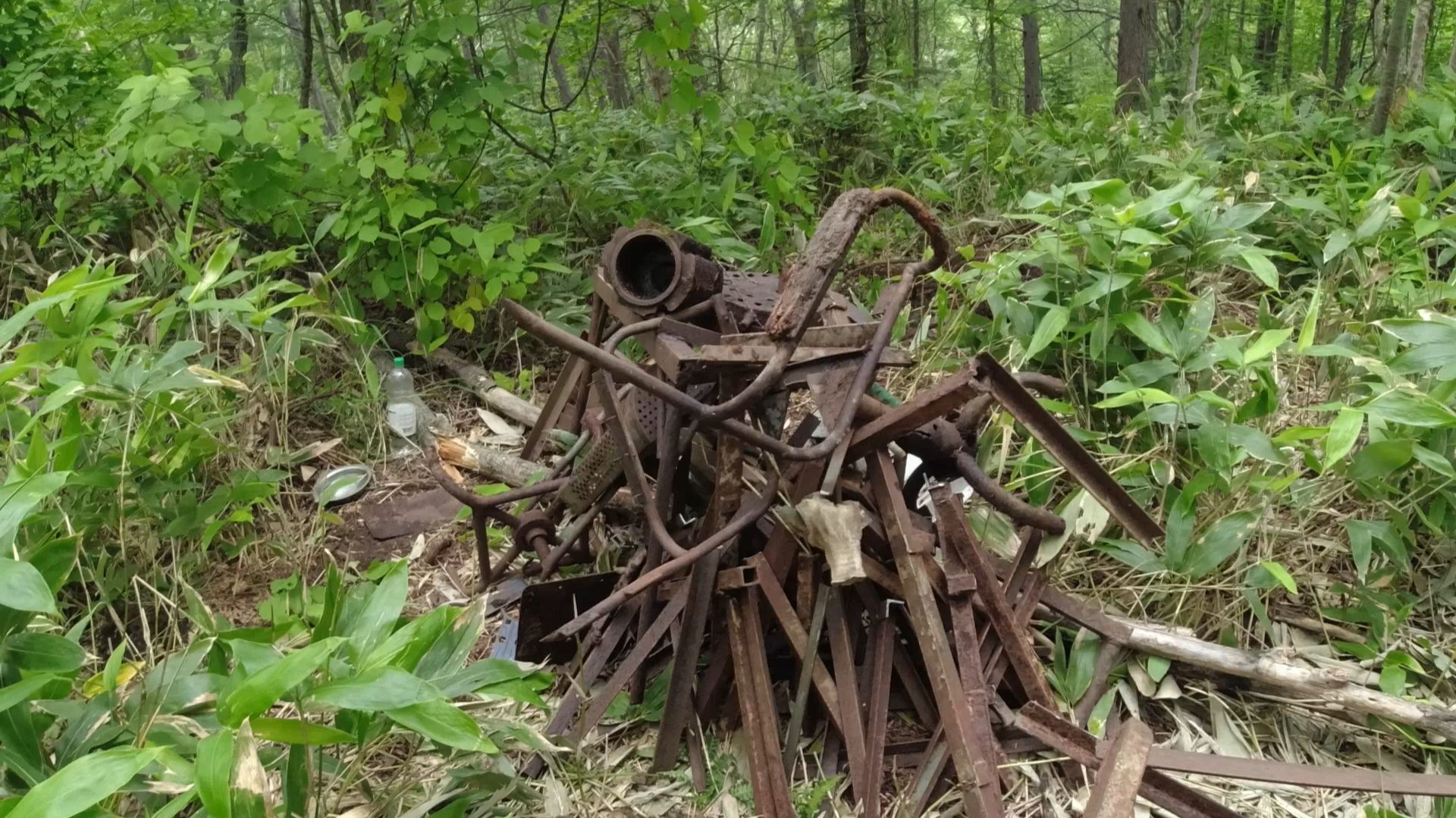 В бамбуковые джунгли на два дня заготавливать металл. смотреть онлайн