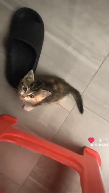 Like
видео мое смотреть онлайн