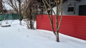 Зимние дачные зарисовки.