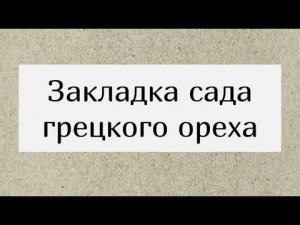 Закладка сада грецкого ореха. Пошаговая инструкция