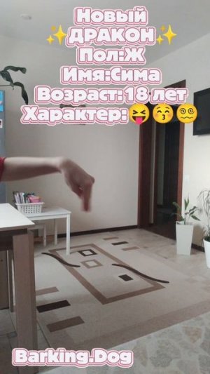 Новый ✨ДРАКОН✨(Я офигеваю от её красоты😵💫)