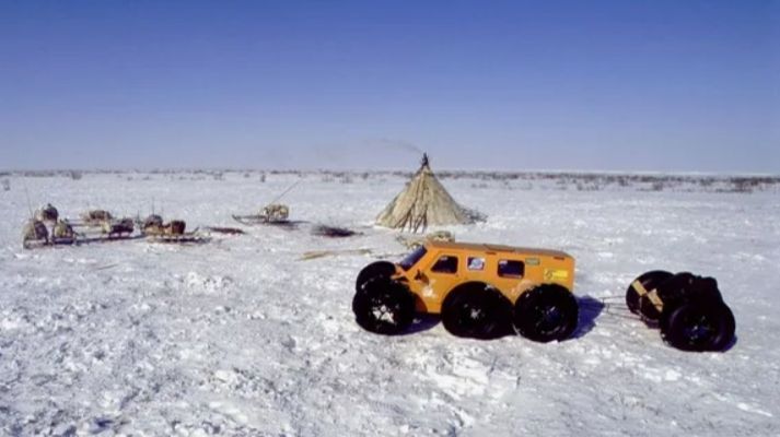 БЕЛОЕ  БЕЗМОЛВИЕ