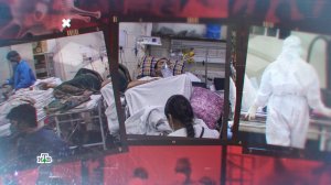 Нипах: распространится ли смертельный вирус из Индии по всему миру | «Центральное телевидение»