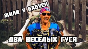 ЖИЛИ У БАБУСИ ДВА ВЕСЕЛЫХ ГУСЯ. ИИ Музыка.
